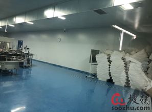 走進金海生物國際級工廠，領略世界級產品與技術服務的卓越魅力